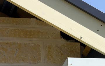 soffit repair Hill Mountain